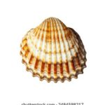 20015年全年完整开奖结果历史数据汇总 b153cf8