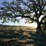 20026期足彩开奖结果公布,奖金分配详情出炉 et79rqnd6