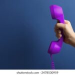 3D开奖号292今日揭晓,精准预测与走势分析 hjeiyh