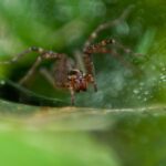 1月3日双色球开奖结果公布,头奖花落谁家引关注 rz6kn4y6g4